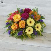 Bold Brights Posy image