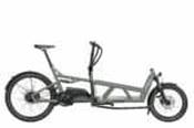 Riese &amp; Müller Load4 60 2025 - Vario