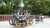 Carla Cargo - Bruce Bike by Velofracht - Greenaer - eBike Specialists