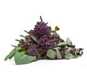 PSB, Broccoli purple sprouting, IRISH 250g
