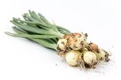 IRL, Onions Fresh, IRISH 500g