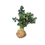 Irish Celeriac 1 pc
