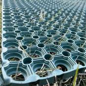 Grass mats 