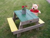 Picnic Table (A201) image