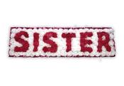 Silk Letter Arrangement (6 letters) image