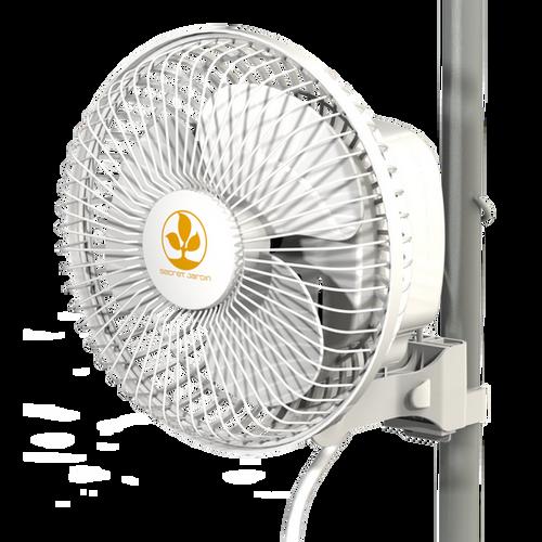 Monkey Fan by Secret Jardin (16W) in 