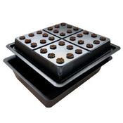 Amazon Aeroponic System