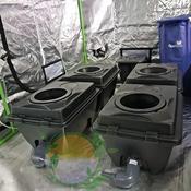 RUSH RDWC Hydroponic System