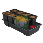 Wilma Small/Wide 8Pot 11L Complete Hydroponic System