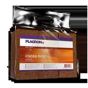 Plagron Cocos Brix