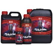 Shogun Silicon