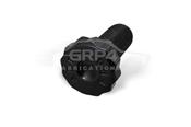 TRACTIVE CWP SCHRAUBE *P