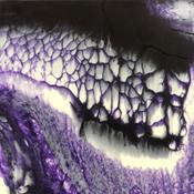 Cell-Base Instant Cell Creator for Resin Art