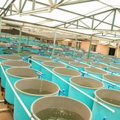 Commercial Aquarium Test image