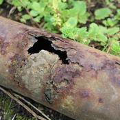Corrosion Check - Lab Sampling Kit for Mains Water
