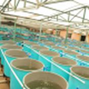 Commercial Aquarium Test image