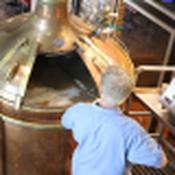 Full Water Test For Brewing or Distillation