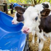Bord Bia Test - Lab Water Sampling Kit
