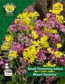 Allium Small Flowering Mixed 30 Bulbs image