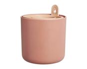 Amazing Avocado Pot (Toffee Terra)
