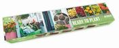 Balcon-O-Mat Tray Sunshine Mix image
