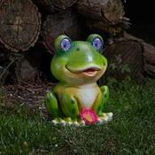 Blinkin' Frog image