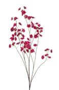 Blossom Spray Beauty 135cm image