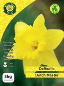 Daffodil 'Dutch Master' 3kg Net