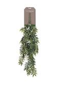 Fern Hanging Bush 80cm image