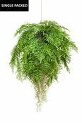 Fern with Roots Hanging Deko D80cm