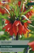 Fritillaria Imperialis Rubra