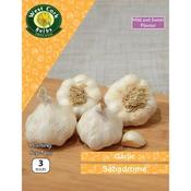 Garlic Sabadrome 3 Bulbs image