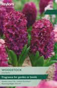 Hyacinth Woodstock Garden image