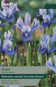 Iris Dwarf Alida 5-6 image