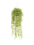 Ivy Hanging Bush Green 100cm image