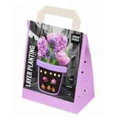 Layer Planter Bulbs - Purple image