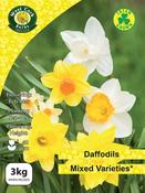 Mixed Daffodils 3kg