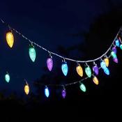 Multipower Pine Cone String Lights - Set Of 30 image