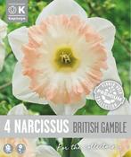 Narcissus - British Gamble image