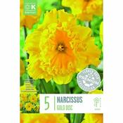 Narcissus - Gold Disc image