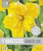 Narcissus - Growers Love