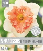Narcissus - Hungarian Rhapsody image