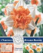 Narcissus - Hungarian Rhapsody image