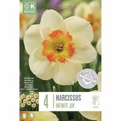 Narcissus - Infinite Joy image