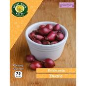 Onion Sets Electric 75 Pack image
