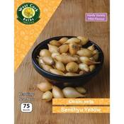 Onion Sets Senshyu Yellow 75 Pack image