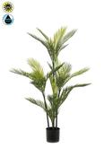 Palm Uv 120cm