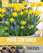 Patio Container Narcissus &amp; Muscari
