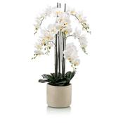 Phalaenopsis Plant X7 White 100cm in Ceramic Pot image