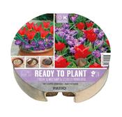 Plant-O-Mat Tray Ø 24 Cm Tulipa &amp; Crocusses